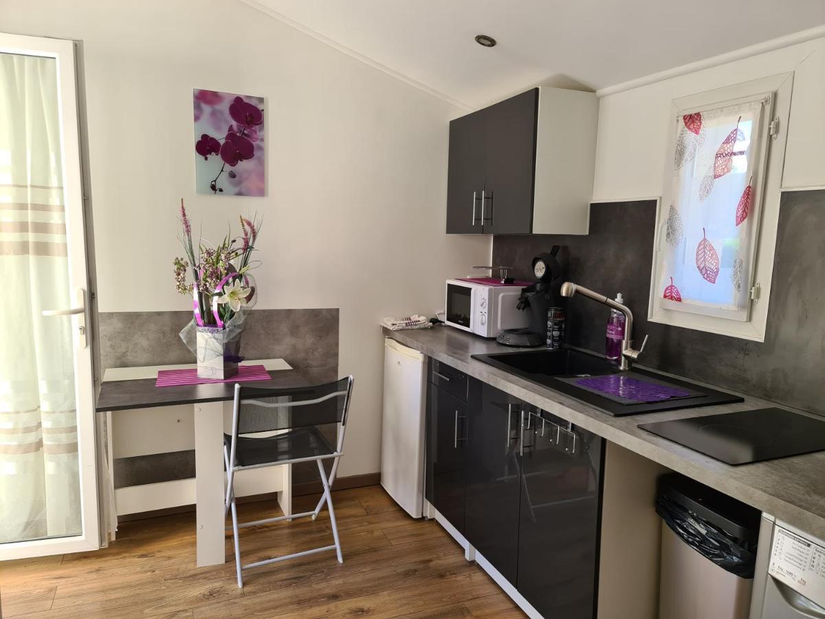 Appartements Dans Villa Privee Avec Piscine, Jardin, Parking Clos, Wifi, Climatisation Мейрей Екстер'єр фото