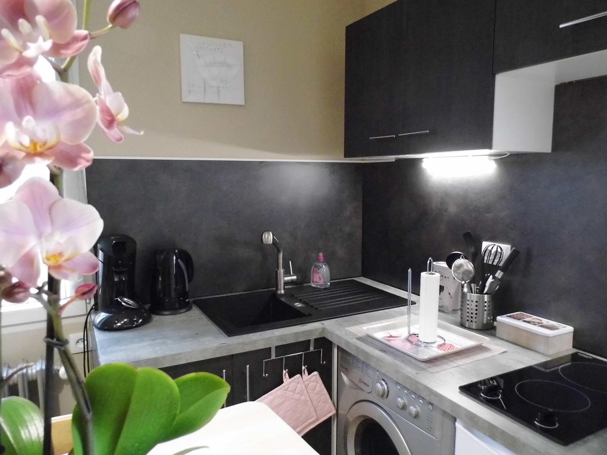 Appartements Dans Villa Privee Avec Piscine, Jardin, Parking Clos, Wifi, Climatisation Мейрей Екстер'єр фото