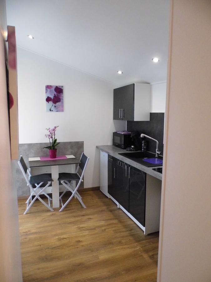 Appartements Dans Villa Privee Avec Piscine, Jardin, Parking Clos, Wifi, Climatisation Мейрей Екстер'єр фото